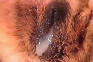 Assistir videos porno de morena dando a bunda - zoophilia stories,zoophilia