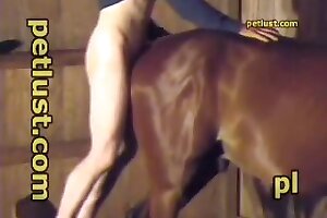 zoofilia videos,hardcore zoo porn