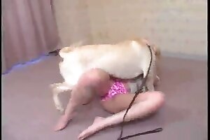 animal porn tube,zoo porn