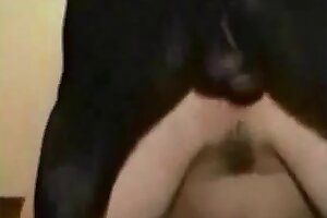 stunning,innocent-looking