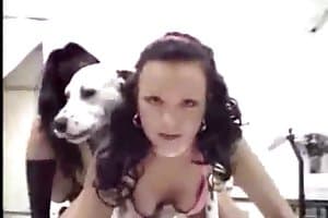 girl with animal sex,zoophile